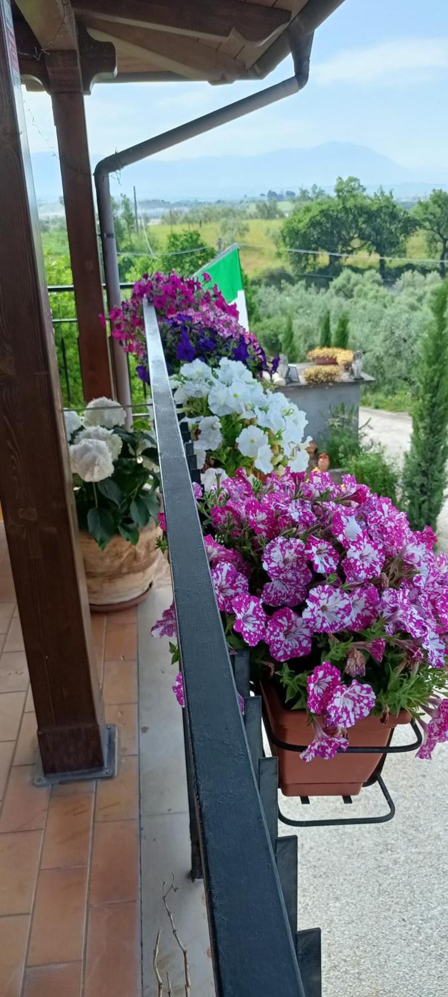 Colle Perazzoni Apartment Fiano Romano Exterior foto